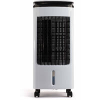 Rafraîchisseur d'air 3 en 1 LIVOO dom389 300m³/h 80W Noir