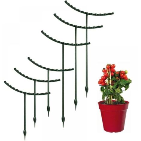 12 supporti per piante rampicanti, robusto supporto verticale