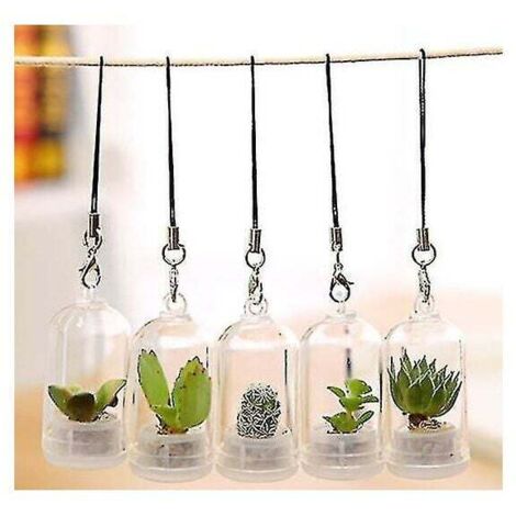 CAOXIAN Succulente pianta portachiavi Cute Lady Potted Portachiavi Bag Pendente Auto Portachiavi Foglia Verde Anello chiave per la pianta Obsessed Donna Coppia Amici Regalo