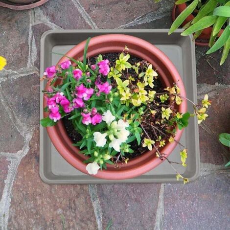 15 Sottovasi Raccogli Acqua Per Piante Appese 15,2 Cm – Trasparenti, In Plastica Resistente, Con Gancio, Per Interni/Esterni, Vasi Da Fiori