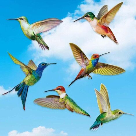 6 Pegatinas Anticolisión Para Ventanas | Adhesivos De Colibrí Para Evitar Choques De Pájaros | Vinilo Estático Reutilizable (No Adhesivo)
