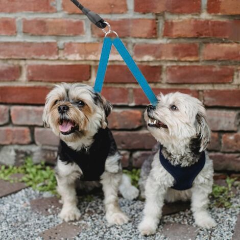 Double laisse pour chien, sans enchevêtrement, dressage de promenade