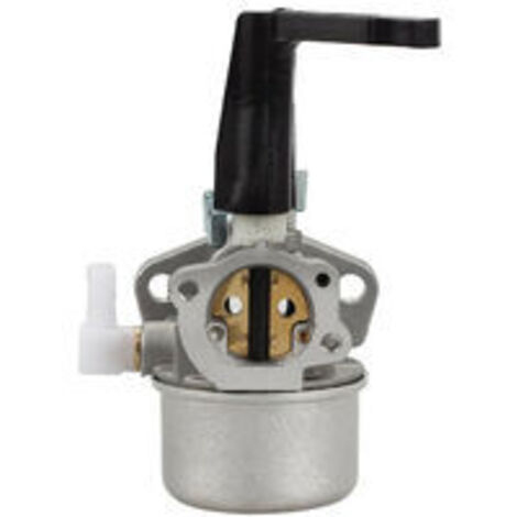 696065 Carburateur de rechange avec jeu de joints pour Briggs & Stratton (1/5)