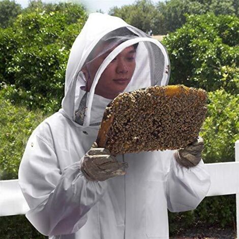Vêtement de protection d'apiculteur, costume d'apiculteur professionnel complet avec veste et pantalon, costume de protection d'apiculteur (XL)