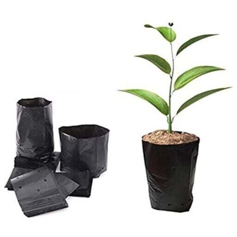 100 pots en plastique pour semis, conteneurs de propagation de plantes, 8 cm x 8 cm (1/4)