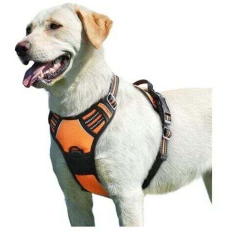 Harnais pour chien orange, taille L, harnais anti-traction réfléchissant réglable, facile à porter, avec poignée de contrôle, respirant et durable, harnais pour chien de taille moyenne. (1/4)