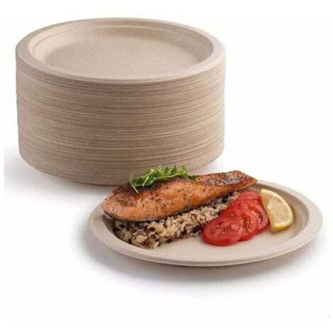 Lot 100 Assiettes Carton Rigides Biodégradables Compostables Résistantes Pique-Nique Barbecue 17 8cm