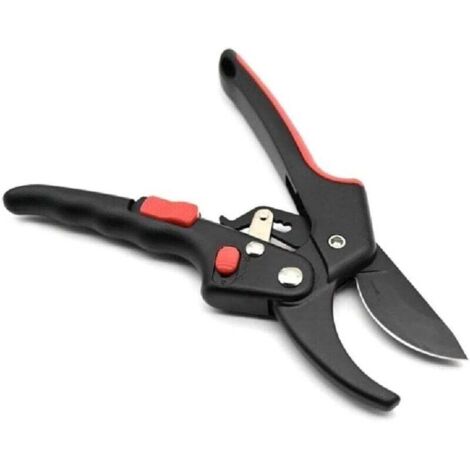 Sécateur de Jardinage Professionnel en Acier Inoxydable pour Taille Branches Arbres et Fleurs (1/4)