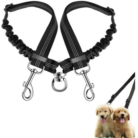 Laisse Double pour Chien Anti Enchevêtrement 360° Rotative Réfléchissante Absorbant Les Chocs Réglable Petits Chiens (1/4)
