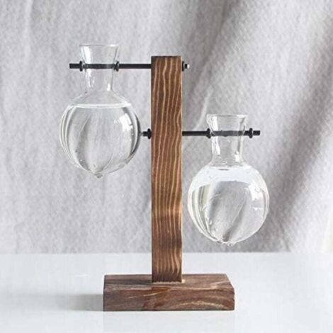 Cadre en Bois Créatif avec Ananas Hydroponique Vase en Verre Transparent Motif Floral Décoration Bureau Intérieur (1/4)