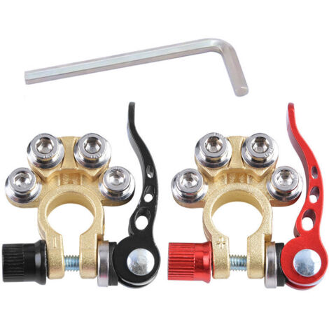 Pince de Connexion pour Borne Batterie Voiture Laiton Renforcé (1/4)