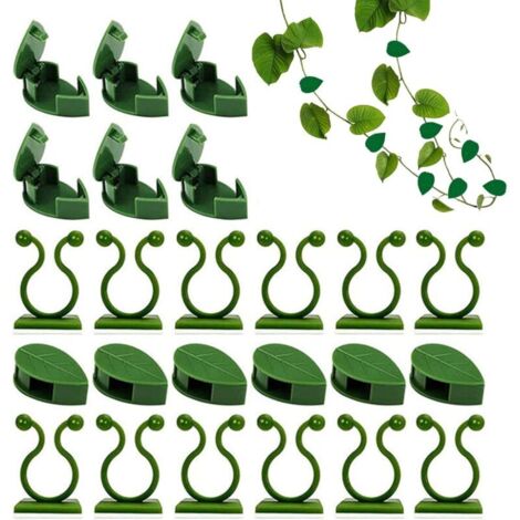 Clips pour Plantes Grimpantes 60 Pièces Support Mural Décoratif Jardin Extérieur Intérieur (1/4)
