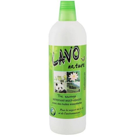 Nettoyant Multi-surfaces Lavo Fruit - Parfum Gourmand épices, Bidon Pratique