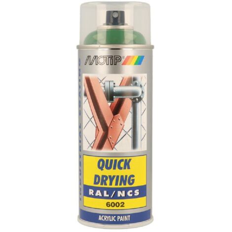 Peint acryliq séch rapide Vert feuil BRIL RAL6002 (1/4)