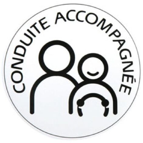 Disque conduite accompagnee electrostatique