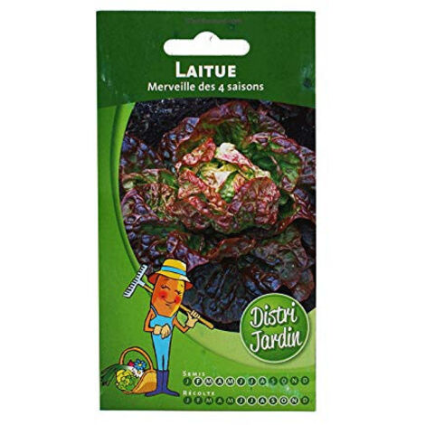 Graines de Laitue Merveille des 4 Saisons (1/4)