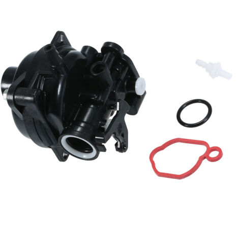 593261 Carburateur pour Briggs & Stratton (1/5)