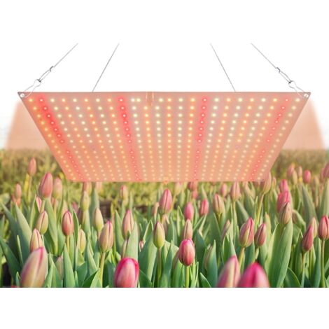 Decdeal Lampe LED pour Plantes - lumière de croissance plante - Led Horticole Spectre Complet (VEG & BLOOM) - Quantum Board pour Culture Intérieur/Succulentes - 2 Modes, IP20 - Éclairage Horticole Pro (1/5)