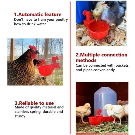 Lot De 6 Abreuvoirs Automatiques Pour Poules, Canards Et Volailles - Tasses Bol Plastique Durable