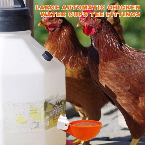 Lil Clucker Kit Abbeveratoio Automatico Per Polli - 5 Tazze In Plastica Per Pollame, Anatre, Oche E Conigli, Sistema A Bassa Pressione - 3