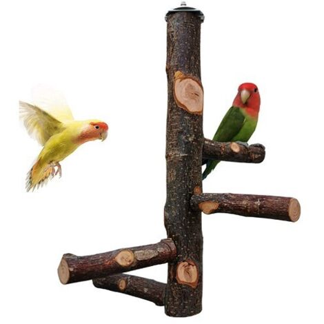 Joody Parrot Cage Trespolo per giocattoli per parrocchetti Trespolo in legno naturale per 3 o 4 piccoli o medi cacatua, conuri, parrocchetti, fringuelli