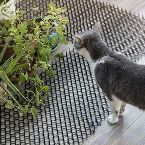 10 Stück 13 47 cm Anti-Katzen-Dornmatte, Anti-Vogel-Dornmatte, Gartenschutz gegen Vögel, mit 10 U-förmigen Spikes - 20 Stück (1/5)