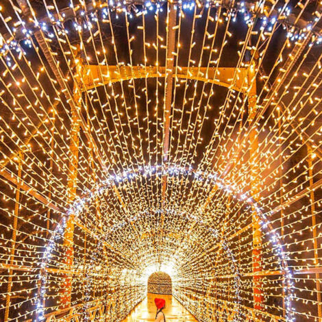 100M 1000 LED Lichterketten Karneval Hochzeit Outdoor Indoor Gartenbeleuchtung (1/5)