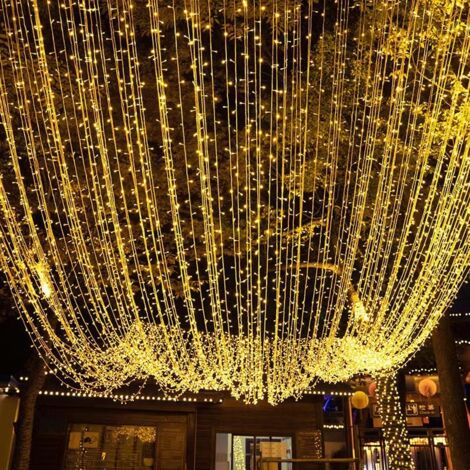 100M 1000 LED Lichterketten Karneval Hochzeit Outdoor Indoor Gartenbeleuchtung (Warmweiß) (1/5)