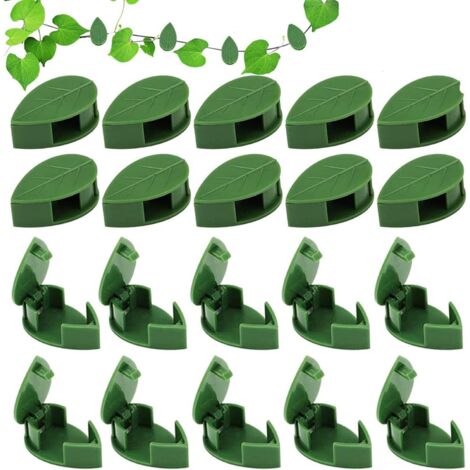 Pflanzenclips für Kletterpflanzen wand, 50 Stück Rankhilfehalter Pflanzenclips, wiederverwendbare unsichtbare selbstklebende klebrige Acrylhalterung für die Aufbewahrung von Gartenpflanzen Stängel (1/5)