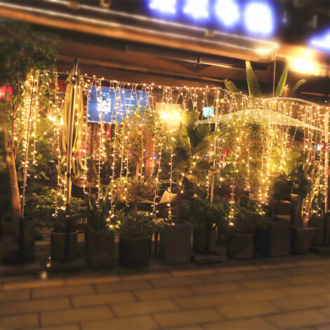 LED-Lichterkette, 3 x 3 m, 304 LEDs, IP44 wasserdichte Weihnachtslichterkette mit Fernbedienung und Timer, 8 Modi, Partydekoration für Weihnachten, Geburtstag, Hochzeit, Wohnzimmer, Warmweiß (1/5)