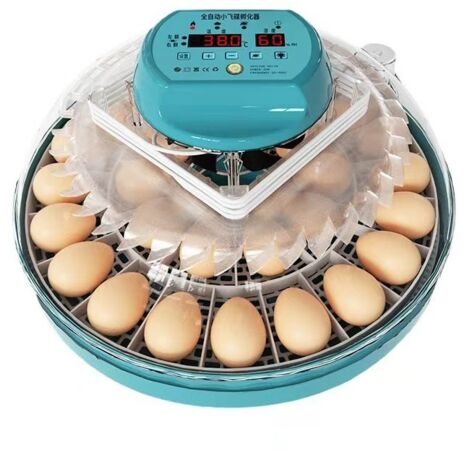 Incubatrice per uova Hethya, incubatrice intelligente per uova di gallina con controllo automatico dell'umidità e rotazione delle uova, controllo della temperatura, incubatrice da 30 uova per uova da (1/5)
