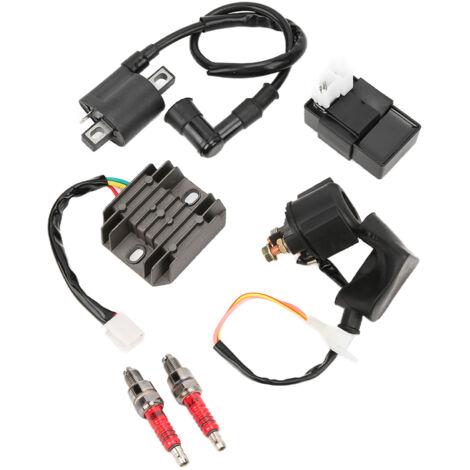 Kit Bobina CDI Accensione Per Biciclette A Motore 2 Tempi 50-80cc – Nuovo