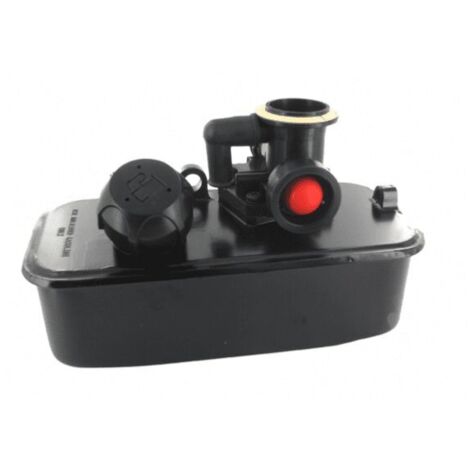 Carburatore e serbatoio del carburante BRIGGS & STRATTON (1/5)