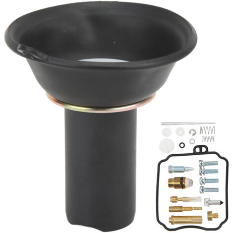 Kit de reparación de carburador para motocicletas Virago 250 XV250 a partir del año modelo 2008. (1/5)