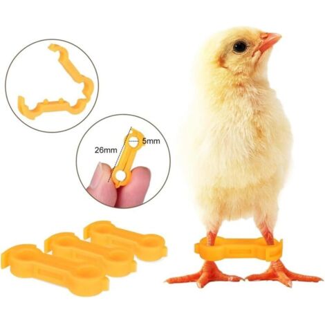KEQAR 100er-Pack Hühner-Fußringe – Bunte Geflügel-Clip-Ringe Zur Einfachen Identifikation Von Hühnern, Enten & Gänsen
