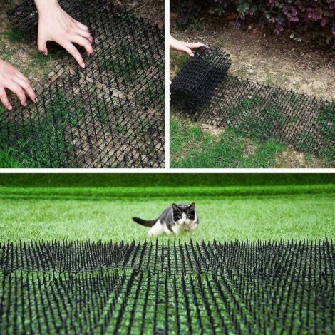 Fußmatte Mit Schwarzer Katze – Rutschfeste Outdoor-Matte Für Haustür Oder Garten