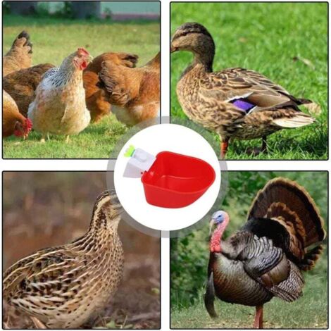 4 Pièces Abreuvoir Automatique Volaille Plastique Bleu pour Poules