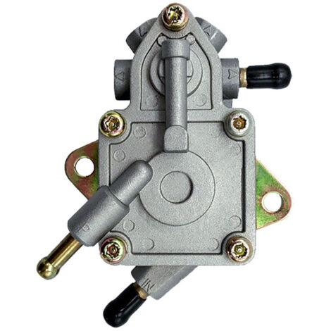 Kraftstoffpumpe für Motorräder, geeignet für Buyang Feishen D300 H300 G300 300cc Vierradmotorräder, JCL Linhai 260cc und Manco Talon ATV. (1/4)