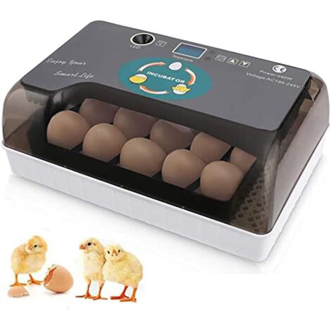 Incubatrice per uova per bambini, 12 uova, completamente automatica, digitale, con controllo della temperatura e rotazione automatica, per la schiusa di polli, anatre, oche, quaglie