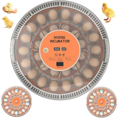 Incubatrice per 30 uova, visione a 360°, con rotazione automatica delle uova, controllo della temperatura, speratura delle uova a LED, display dell'umidità, per principianti, aziende agricole, insegna
