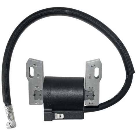 Bobina di accensione per Briggs Stratton 591420 398593 496914 793281 792395 -..DEBUNS