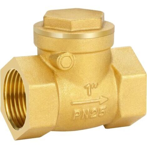 Clapet anti-retour 1", filetage femelle en laiton, clapet anti-retour DN25 avec filetage intérieur pour raccords de tuyaux