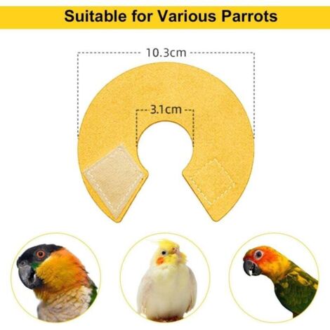 Perca De Seguridad Con Protector Antimordeduras Para Loros Medianos (1.5 Pulgadas)