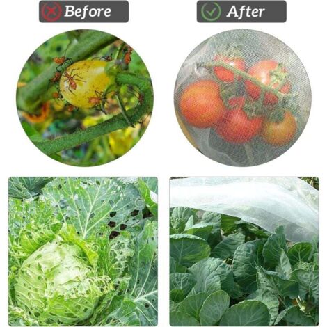 Gartennetz 3x6 M, Feinmaschig (0,8 Mm) | Insektenschutz Für Gemüse, Obst & Hochbeete