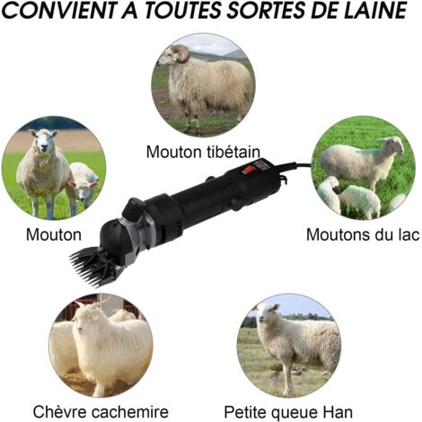 Oumefar Lama Per Tosatrice Elettrica 9 Denti In Acciaio Al Carbonio - Per Pecore, Alpaca, Lama E Animali A Pelo Folto - Principianti