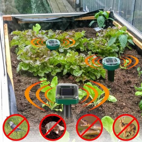 Répulsif Anti Taupes Extérieur Lot De 4 Répulsifs Anti-taupes à