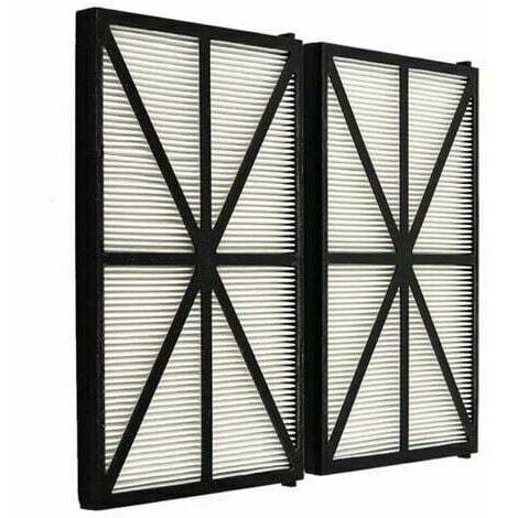 Lot de 2 Plaques Filtrantes pour Robot Tiger Shark - RCX70101PAK2 - Noir