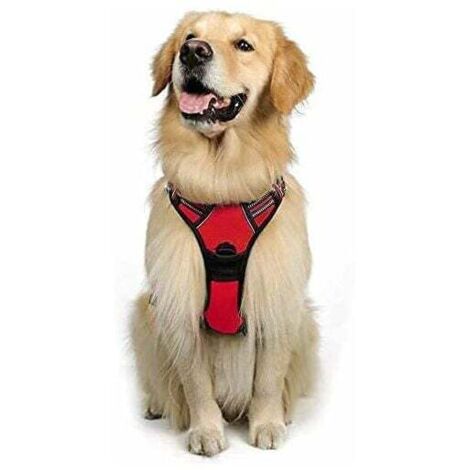 Harnais Chien L Arnais Rouge Anti Traction Réfléchissant Gilet Réglable pour Chien Grand Taille, Attache Devant Crochet de Laisse pour Randonnée Trajet Voiture, American Staff, Border Collie-Ensoleill