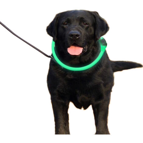 Collier de chien LED à clip réglable, rechargeable par USB, collier de chien lumineux pour la sécurité nocturne, collier lumineux tendance pour petits chiens de taille moyenne (câble USB, vert, 27,56" (1/5)