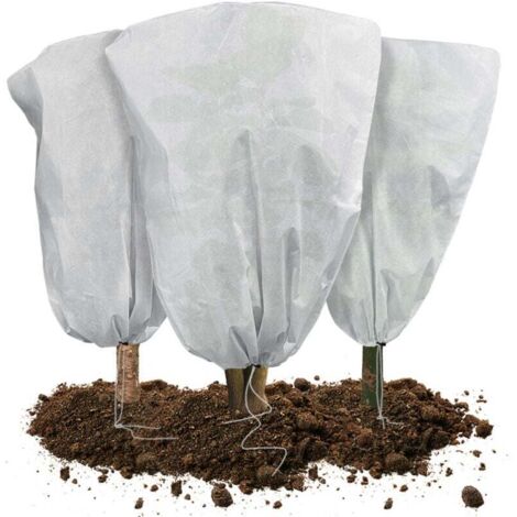 Lot de 3 Housse Hivernage Plante avec Cordon Polypropylème 80g/m2 80x100cm blanc (1/5)